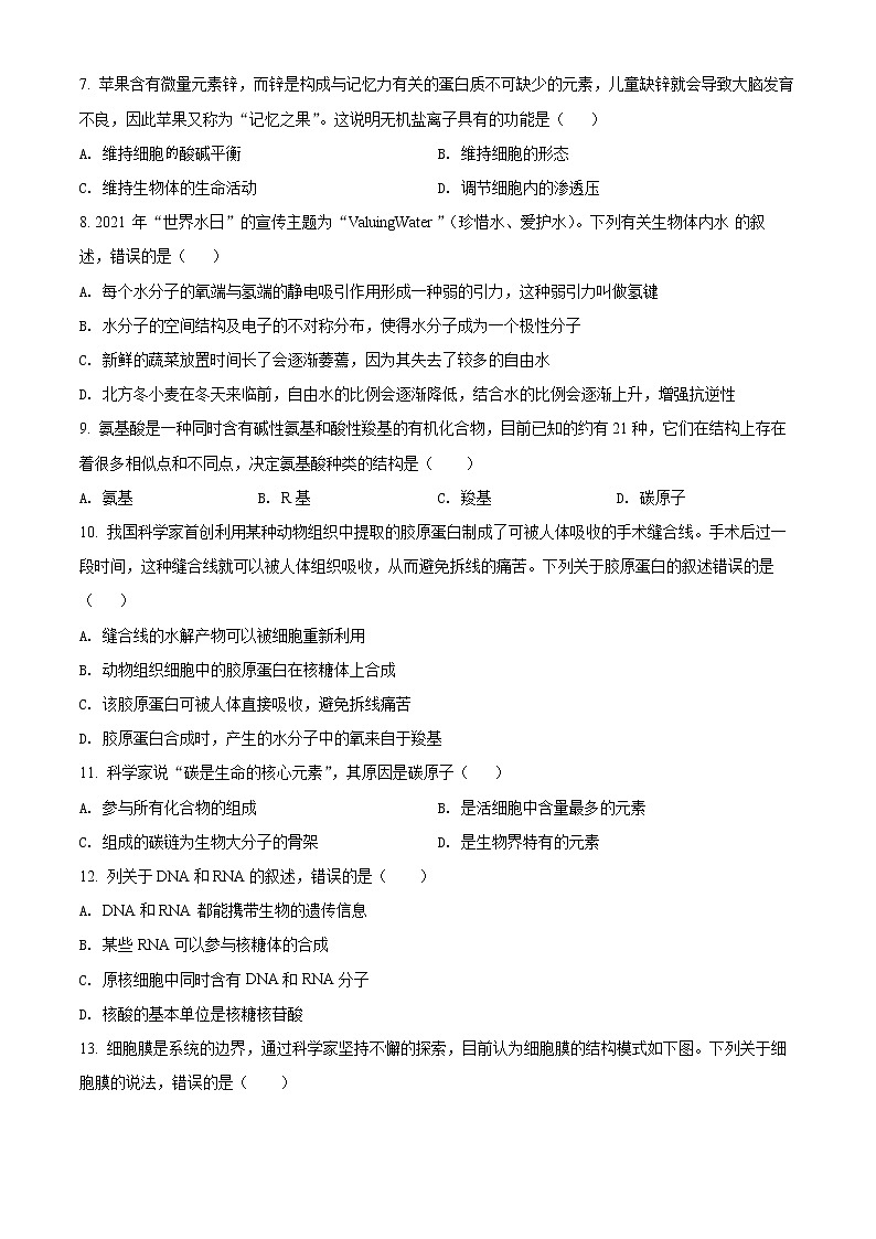 精品解析：广东省江门市二中2021-2022学年高一上学期期中生物试题02