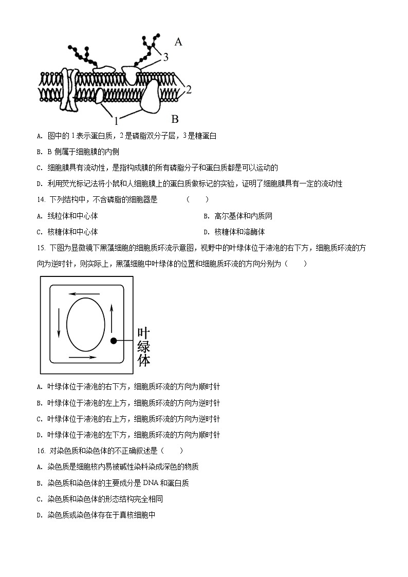 精品解析：广东省江门市二中2021-2022学年高一上学期期中生物试题03