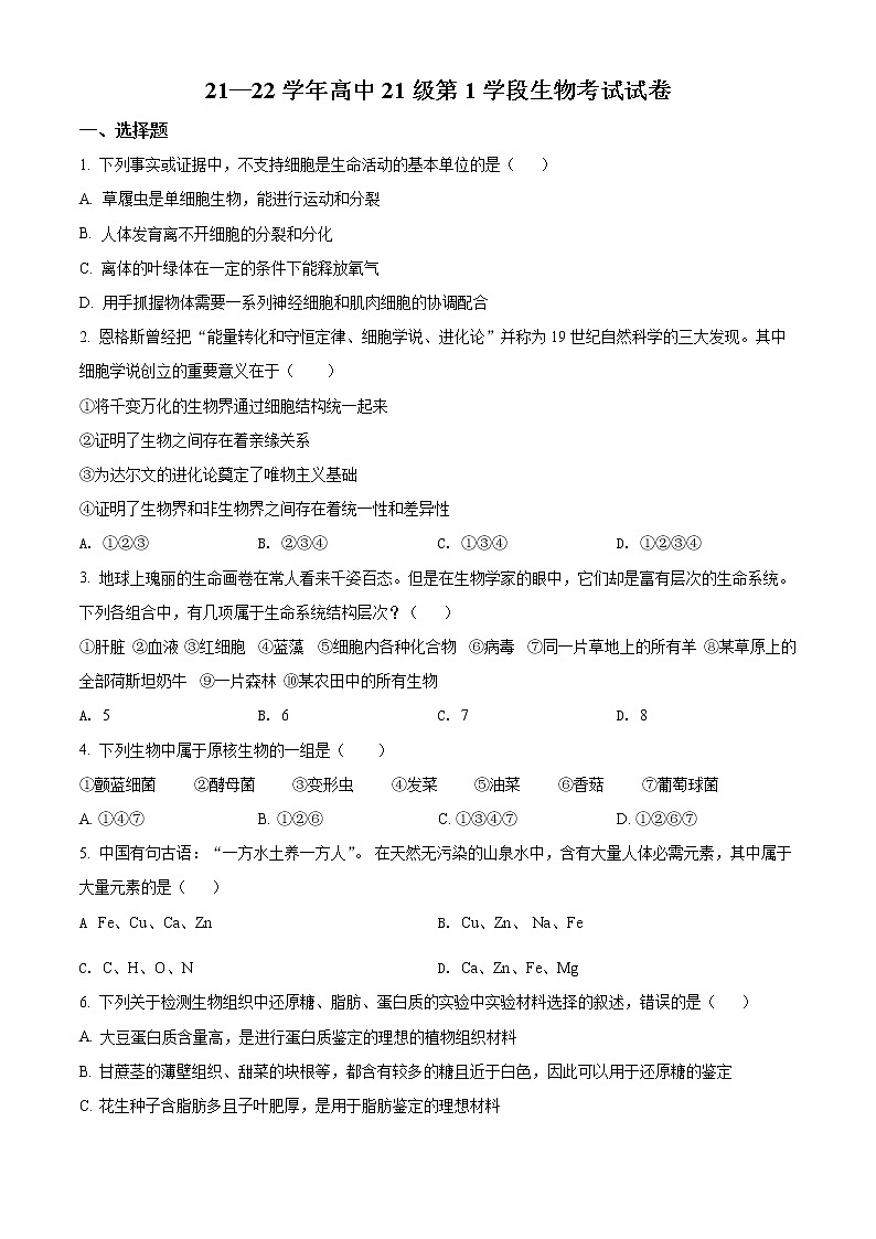 精品解析：广东省江门市新会陈经纶中学2021-2022学年高一上学期期中生物试题01