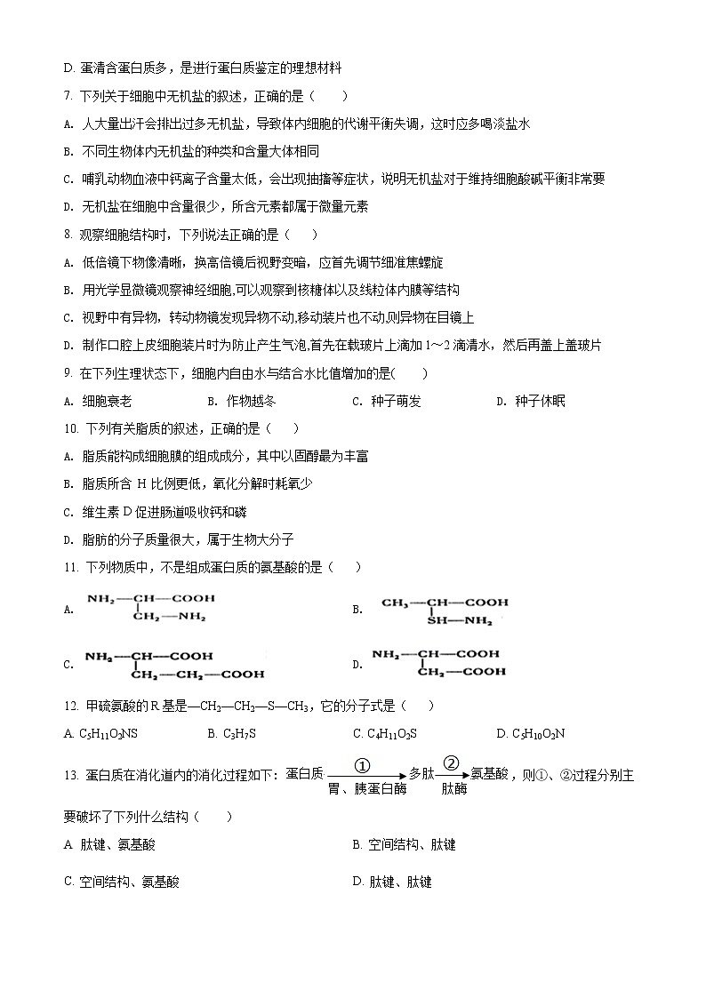 精品解析：广东省江门市新会陈经纶中学2021-2022学年高一上学期期中生物试题02