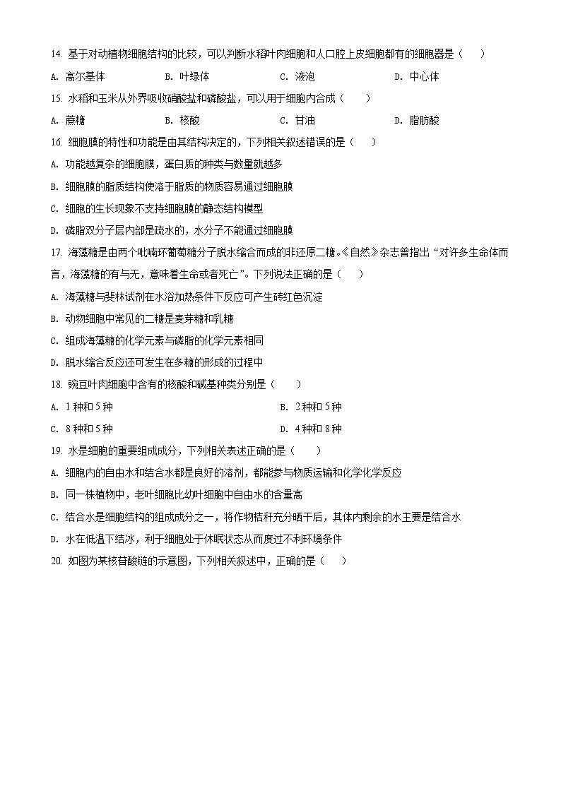 精品解析：广东省江门市新会陈经纶中学2021-2022学年高一上学期期中生物试题03