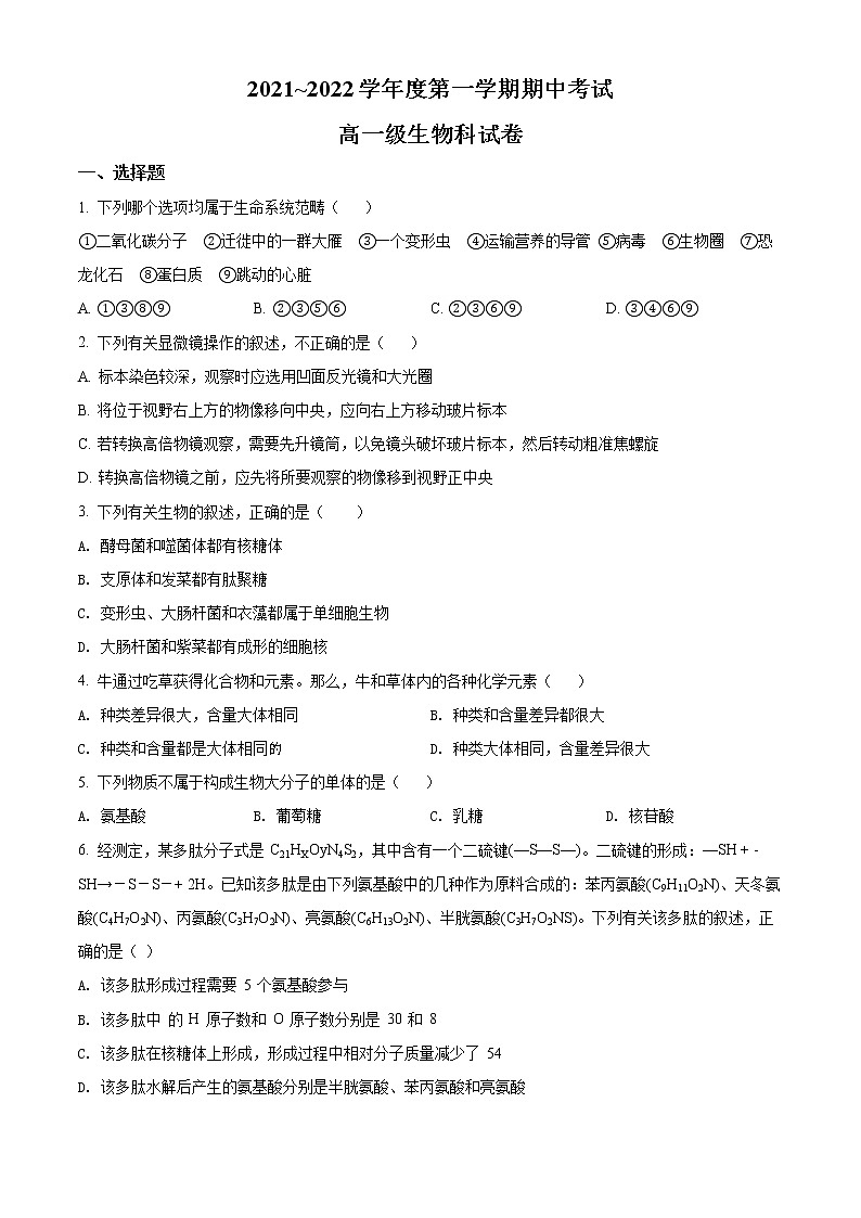 精品解析：广东省普宁市华美实验学校2021-2022学年高一上学期期中生物试题01