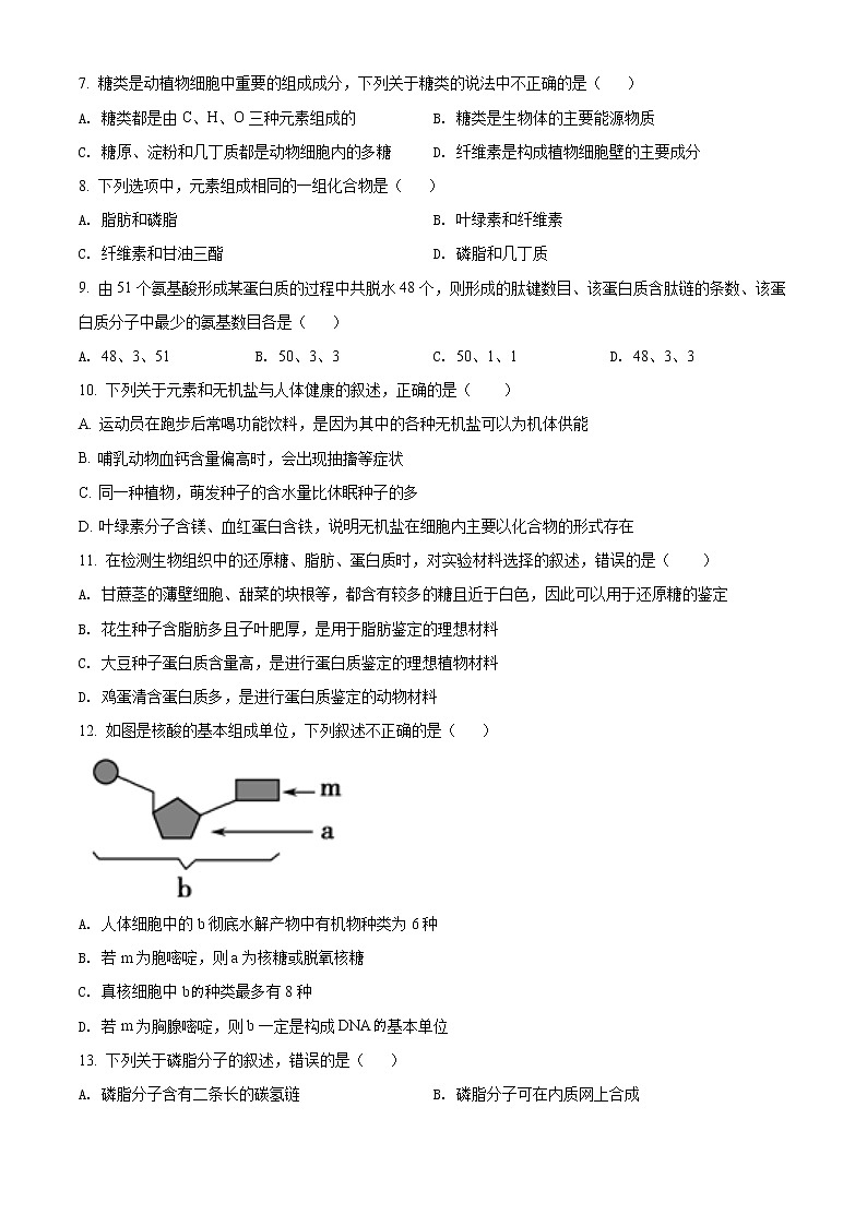 精品解析：广东省普宁市华美实验学校2021-2022学年高一上学期期中生物试题02
