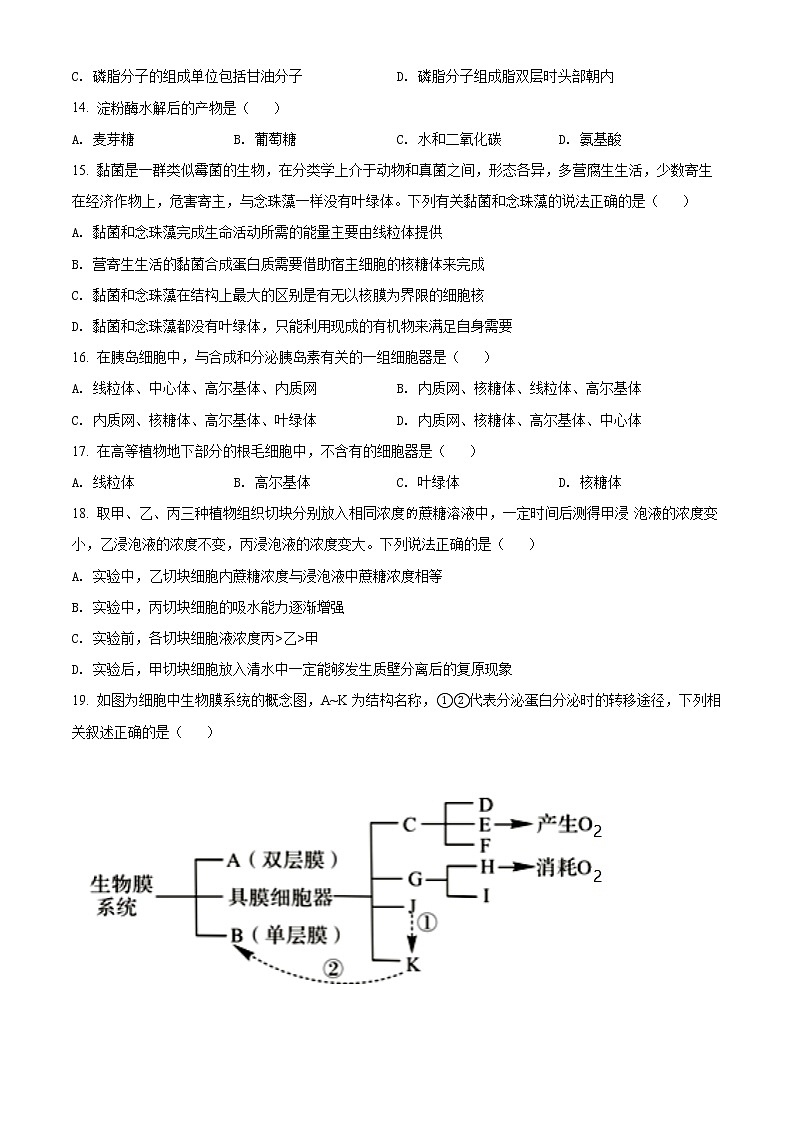 精品解析：广东省普宁市华美实验学校2021-2022学年高一上学期期中生物试题03