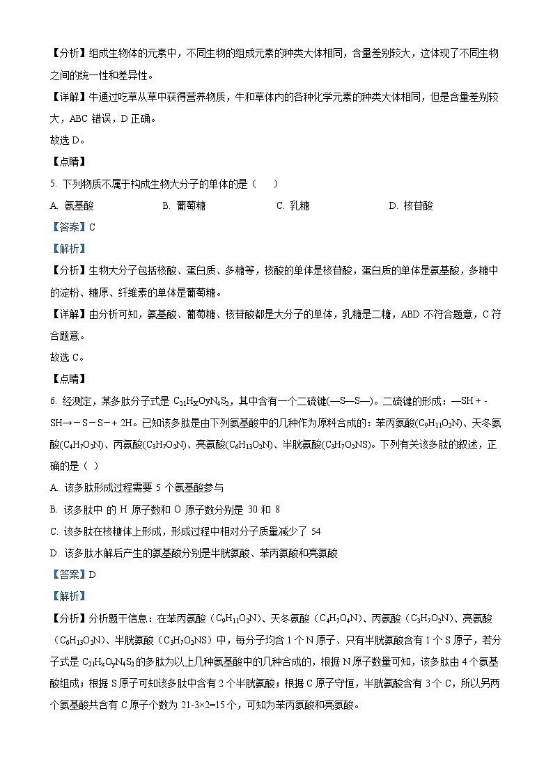 精品解析：广东省普宁市华美实验学校2021-2022学年高一上学期期中生物试题03