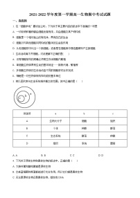 精品解析：海南省三亚华侨学校（南新校区）2021-2022学年高一上学期期中生物试题