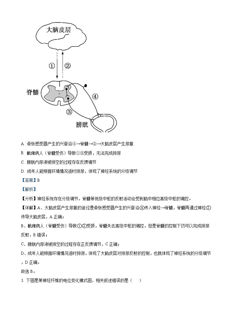 精品解析：山东省淄博市2020-2021学年高二上学期期末生物试题02