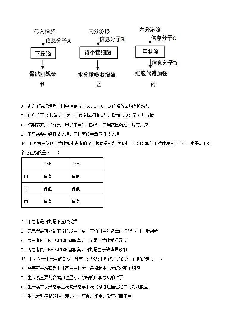 精品解析：天津市滨海新区2020-2021学年高二上学期期末生物试题03