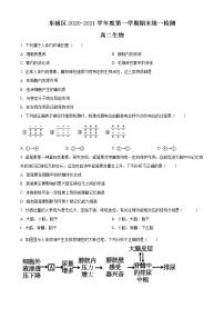 精品解析：北京东城区2020-2021学年高二上学期期末生物试题