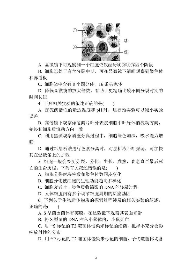 江苏省南通市通州区2022-2023学年高三上学期 期中质量监测 生物试卷02