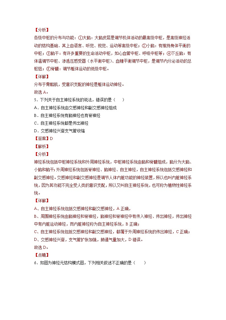 2.1 神经调节的结构基础-高中生物 课件+练习（人教版2019 选择性必修1）03