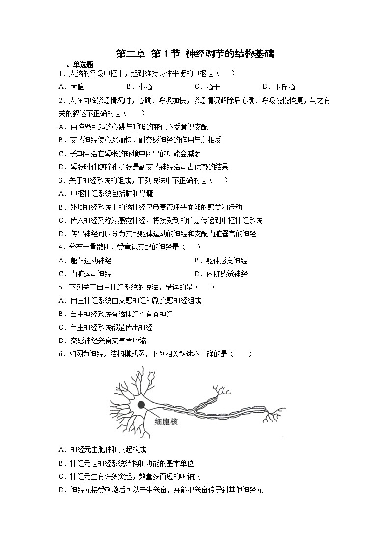 2.1 神经调节的结构基础-高中生物 课件+练习（人教版2019 选择性必修1）01