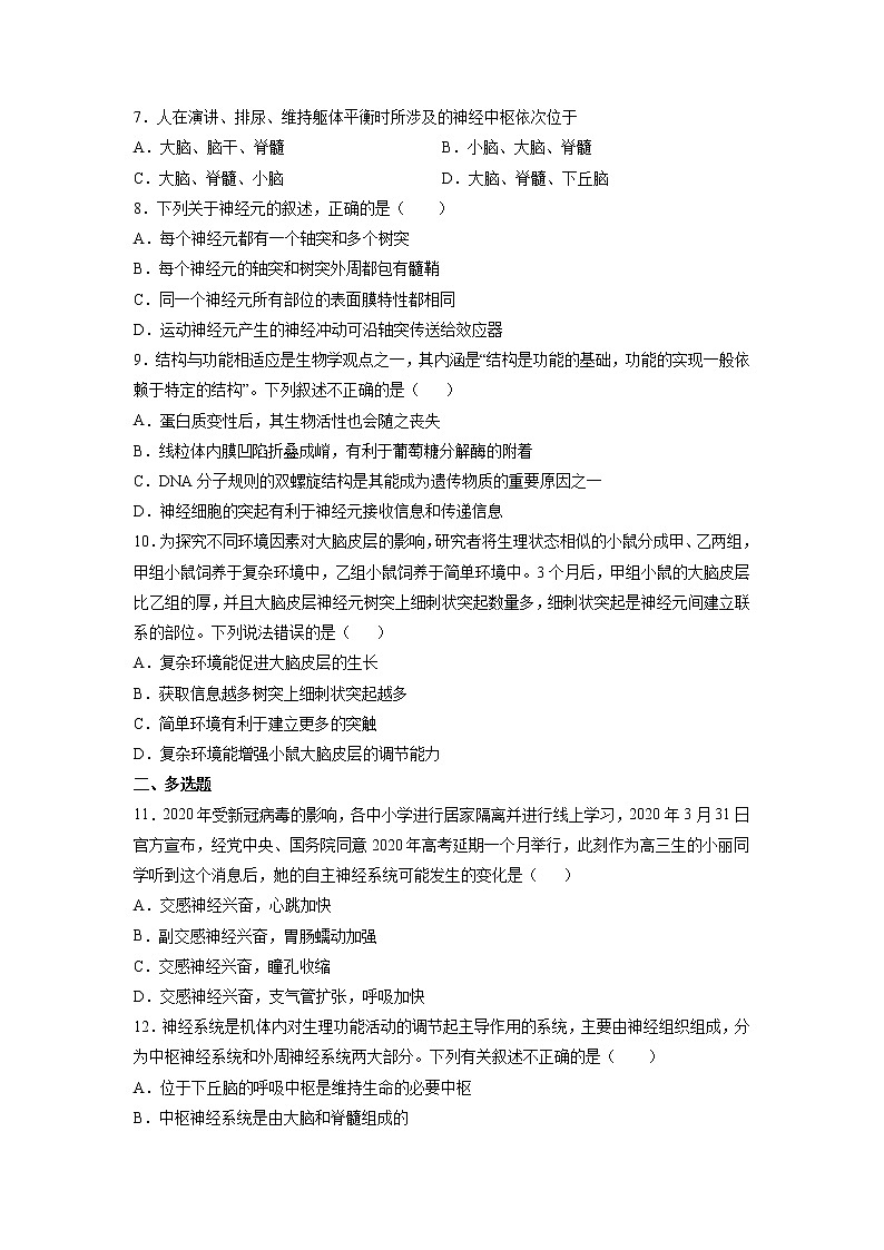 2.1 神经调节的结构基础-高中生物 课件+练习（人教版2019 选择性必修1）02