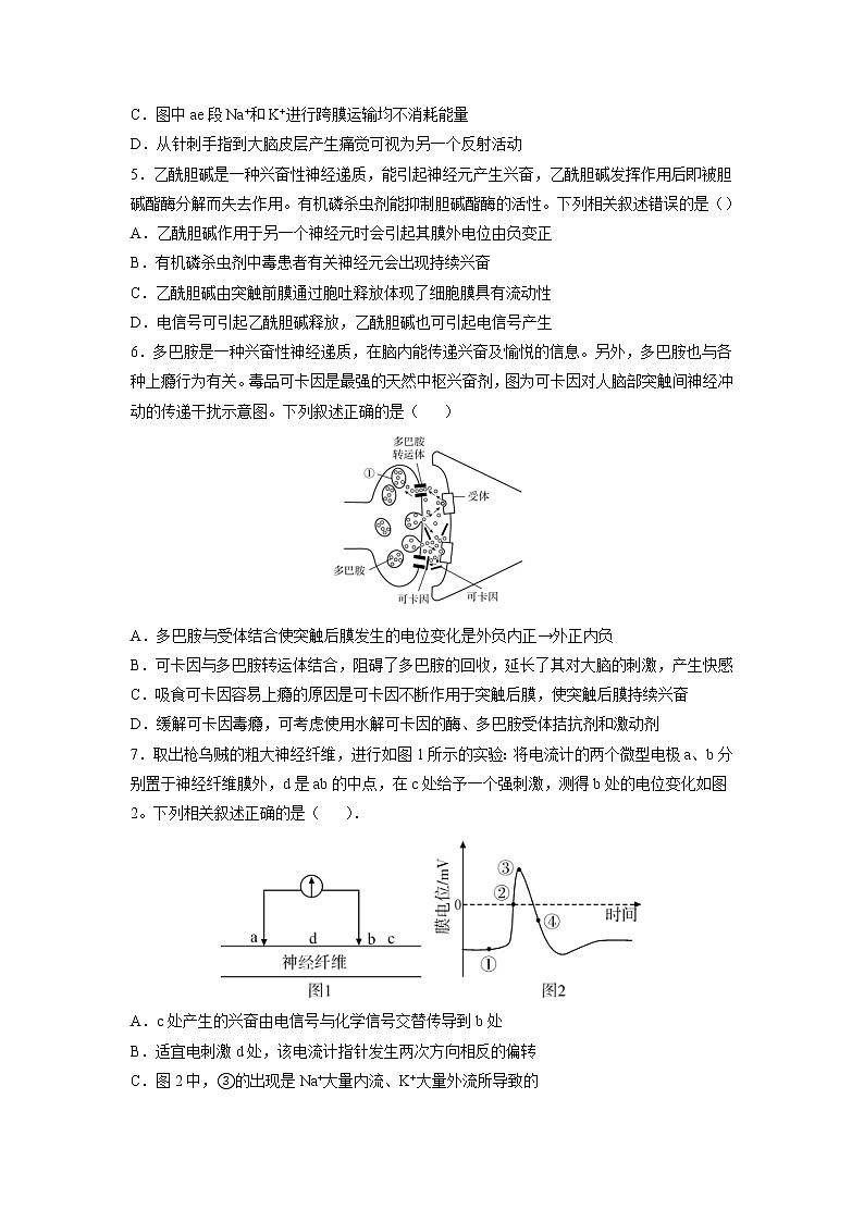 2.3 神经冲动的产生和传导（练习题）第2页