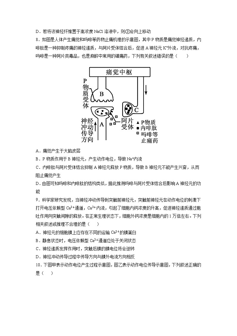 2.3 神经冲动的产生和传导（练习题）第3页