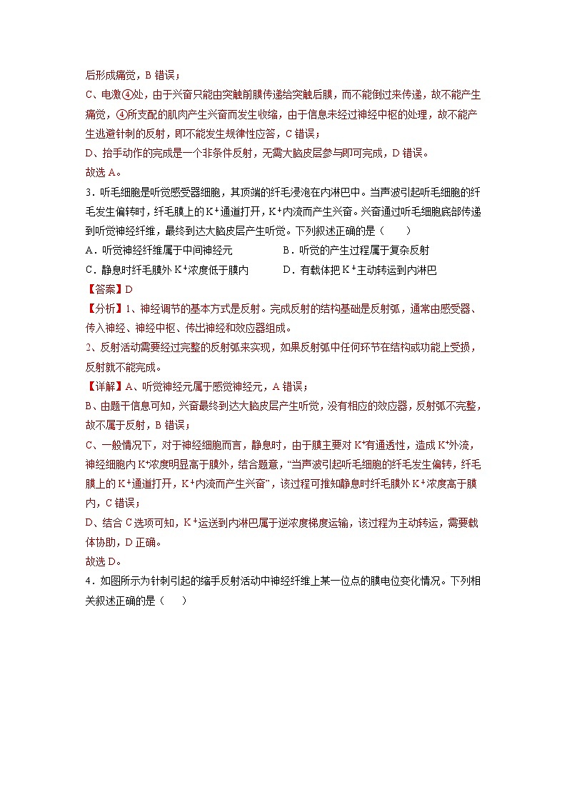 2.3 神经冲动的产生和传导（练习题）（含答案解析）第2页
