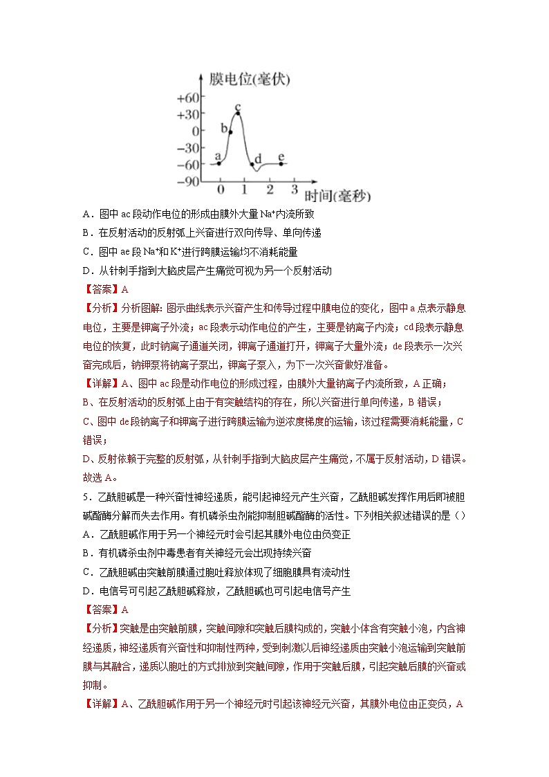 2.3 神经冲动的产生和传导（练习题）（含答案解析）第3页