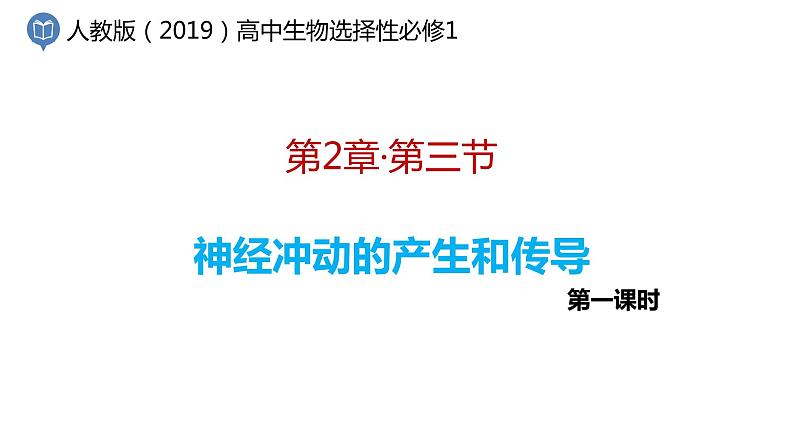 2.3 神经冲动的产生和传导（第1课时）第1页