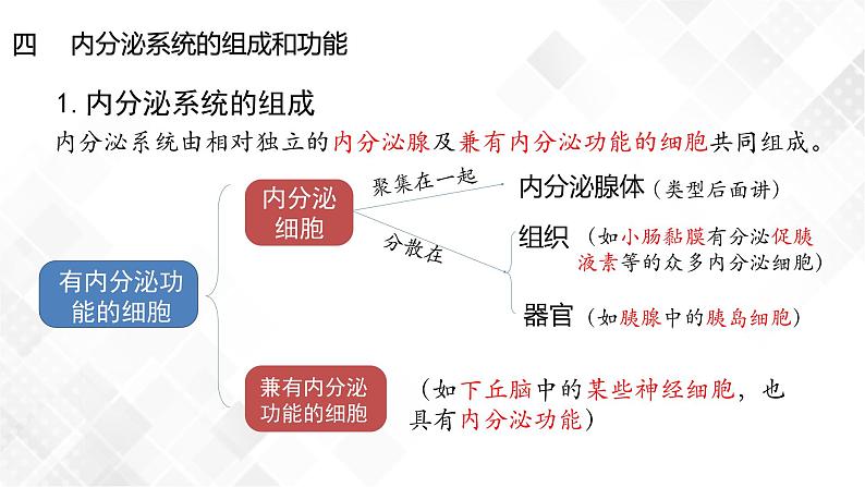 3.1 激素与内分泌系统（包含两课时）-高中生物 课件+练习（人教版2019 选择性必修1）03