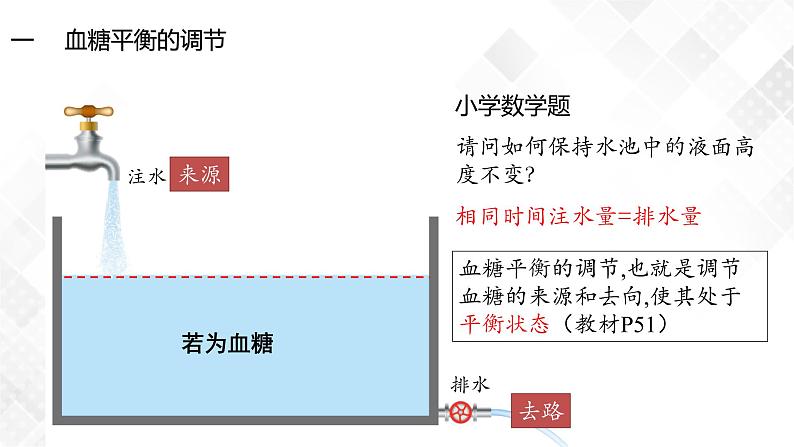 3.2 激素调节的过程（包含两课时）-高中生物 课件+练习（人教版2019 选择性必修1）05