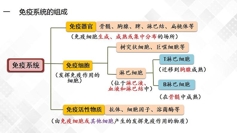 4.1 免疫系统的组成和功能（第1课时）第4页