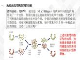 4.2 特异性免疫（包含两课时）-高中生物 课件+练习（人教版2019 选择性必修1）