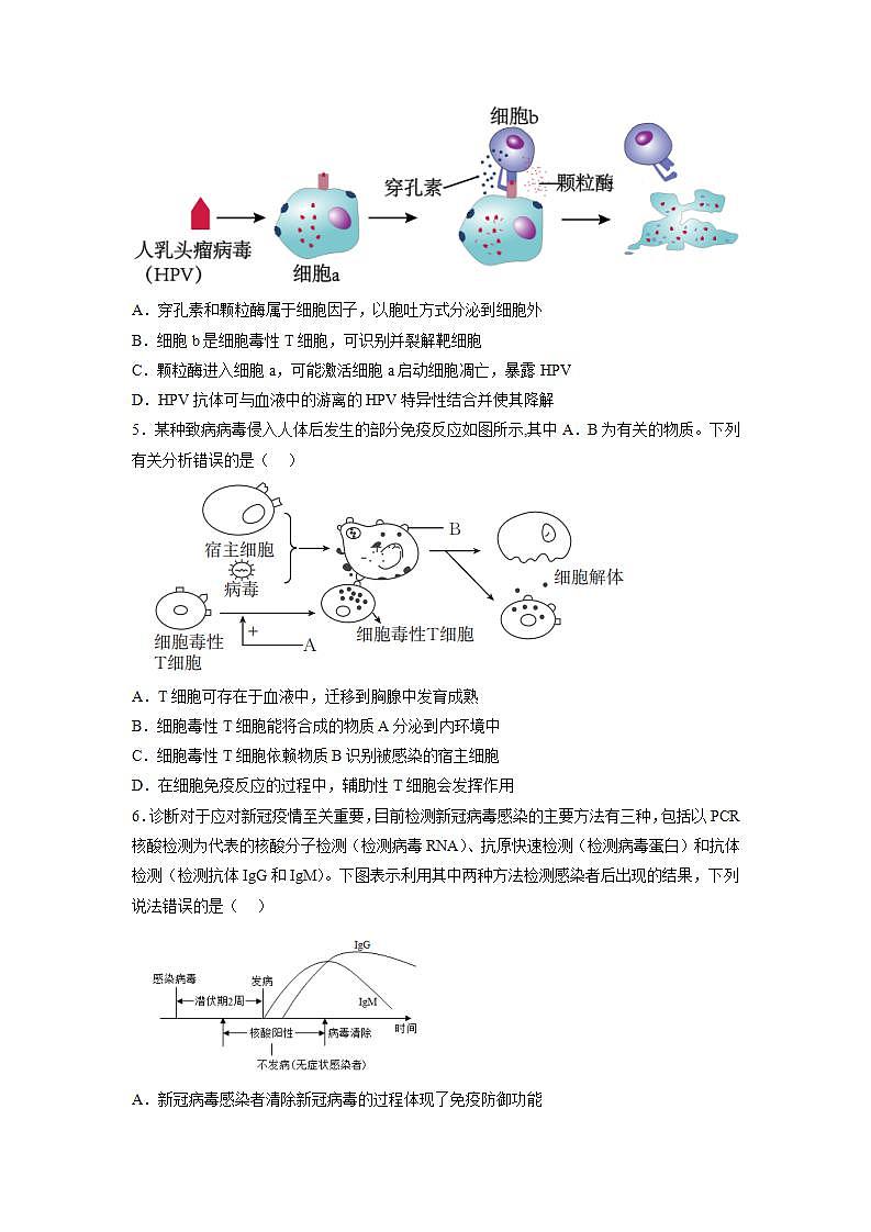 4.2 特异性免疫（包含两课时）-高中生物 课件+练习（人教版2019 选择性必修1）02