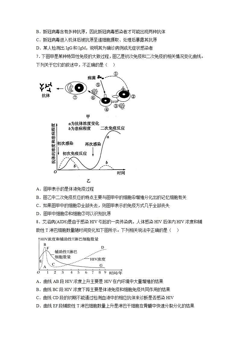 4.2 特异性免疫（包含两课时）-高中生物 课件+练习（人教版2019 选择性必修1）03