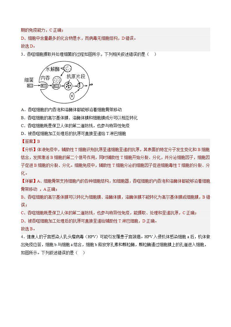 4.2 特异性免疫（包含两课时）-高中生物 课件+练习（人教版2019 选择性必修1）02