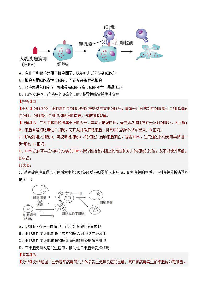 4.2 特异性免疫（包含两课时）-高中生物 课件+练习（人教版2019 选择性必修1）03