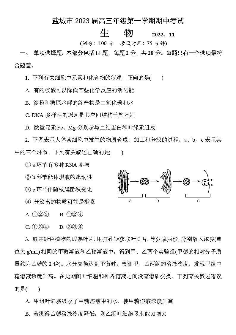 2023盐城高三上学期期中考试生物试题答案01