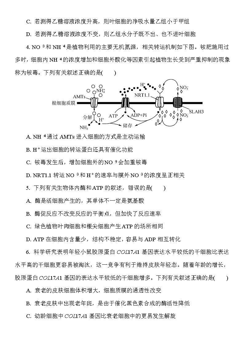 2023盐城高三上学期期中考试生物试题答案02