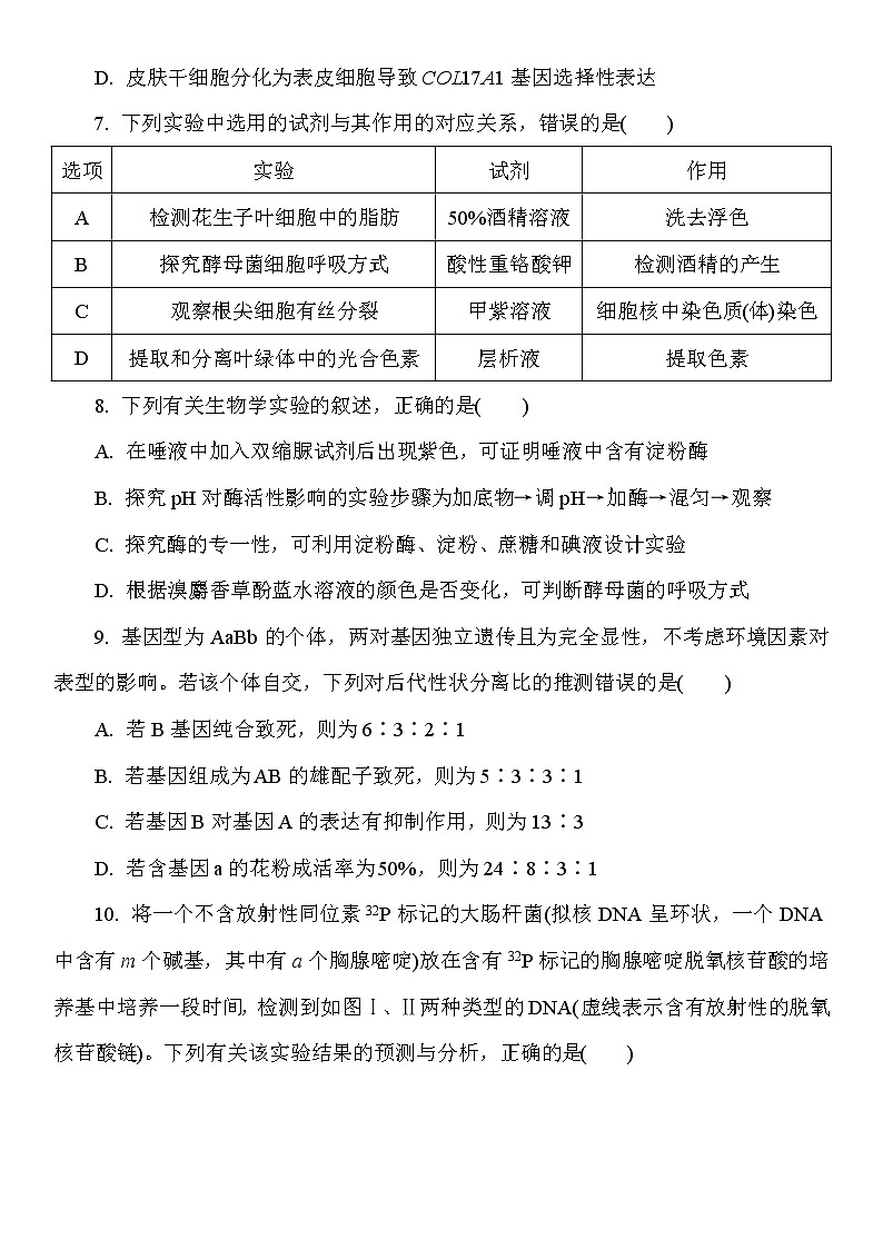2023盐城高三上学期期中考试生物试题答案03