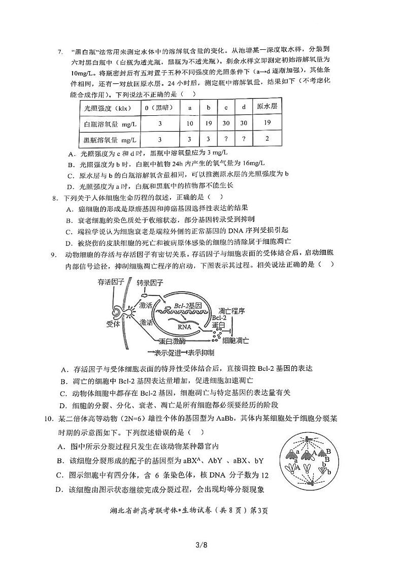 2023湖北省荆荆宜三校高三上学期11月联考生物试题扫描版含答案第3页