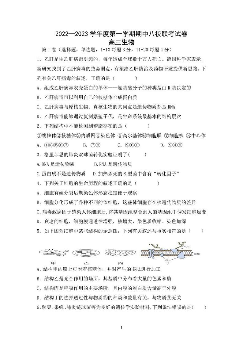 天津市八校联考2022-2023学年高三上学期期中考试生物试题（含答案及答题卡）01