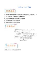 【备战2023高考】生物专题讲与练——考向04《ATP和酶》全能练（含解析）（全国通用）