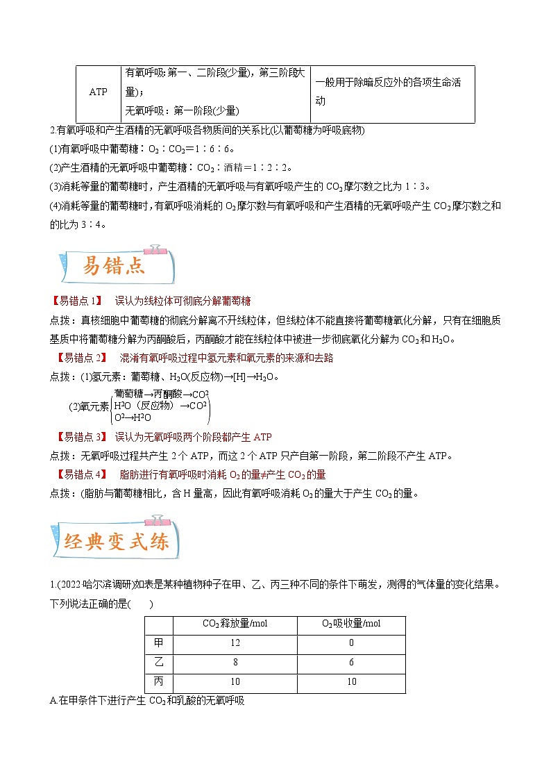 【备战2023高考】生物专题讲与练——考向05《细胞呼吸》全能练（含解析）（全国通用）03