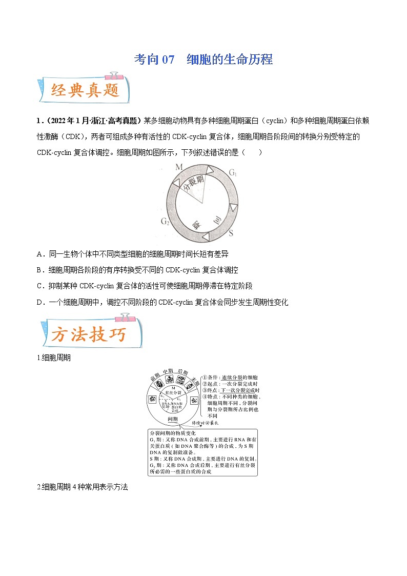 【备战2023高考】生物专题讲与练——考向07《细胞的生命历程》全能练（全国通用）（原卷版）第1页