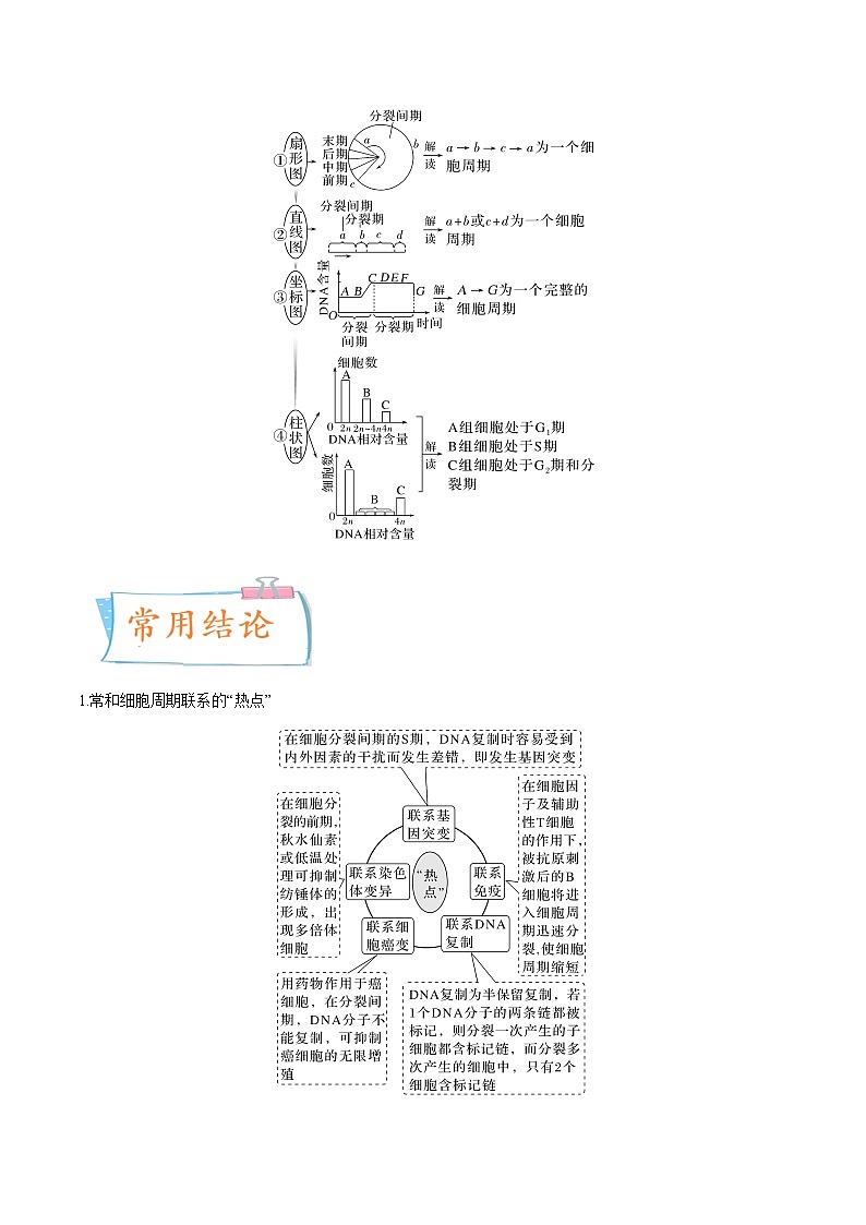 【备战2023高考】生物专题讲与练——考向07《细胞的生命历程》全能练（全国通用）（原卷版）第2页