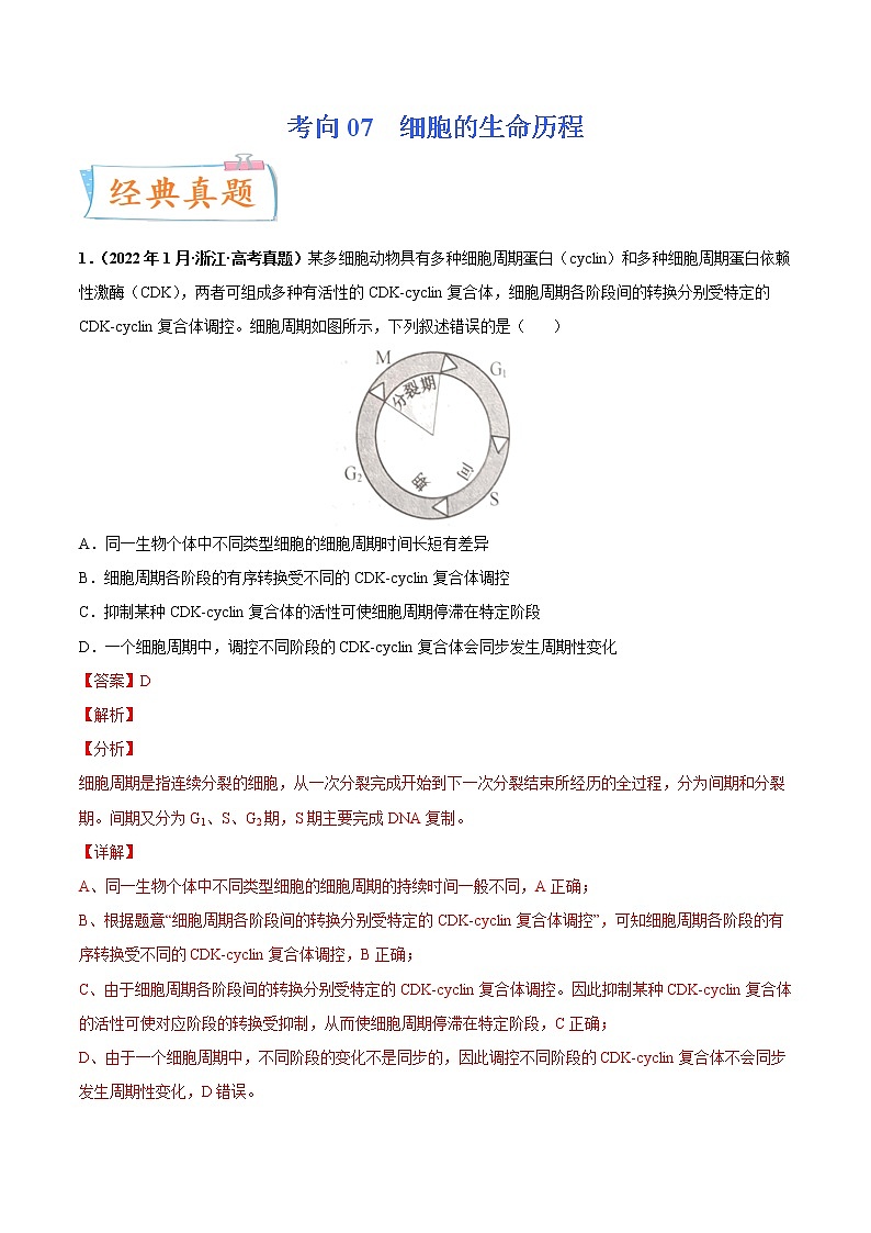 【备战2023高考】生物专题讲与练——考向07《细胞的生命历程》全能练（全国通用）（解析版）第1页