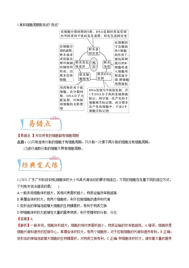 【备战2023高考】生物专题讲与练——考向07《细胞的生命历程》全能练（全国通用）（解析版）第3页