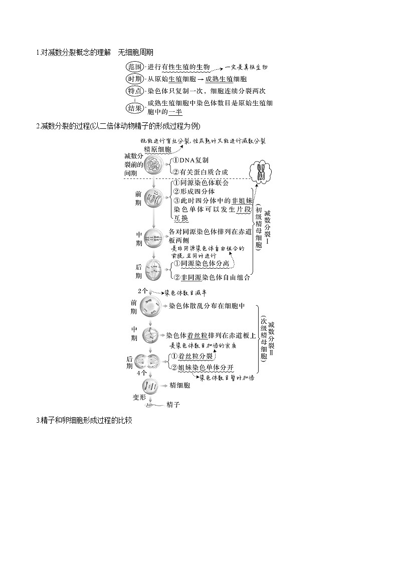 【备战2023高考】生物专题讲与练——考向08《减数分裂和受精作用》全能练（全国通用）（解析版）第2页