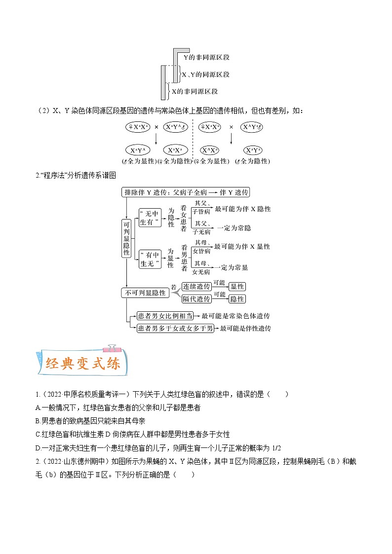【备战2023高考】生物专题讲与练——考向11《伴性遗传和人类遗传病》全能练（全国通用）（原卷版）第2页