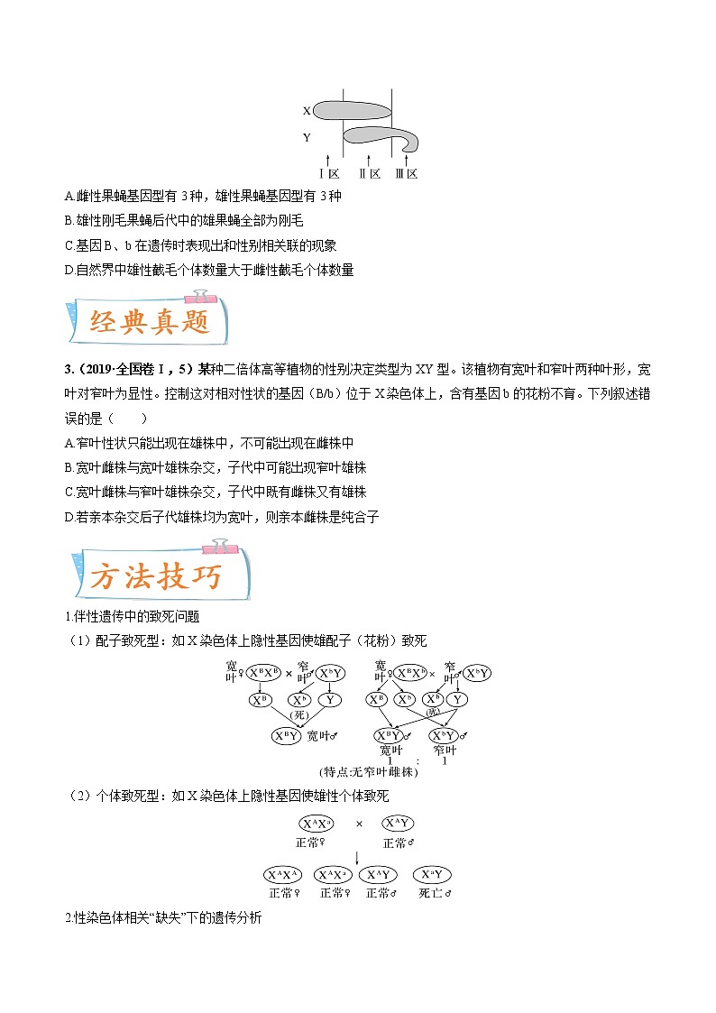 【备战2023高考】生物专题讲与练——考向11《伴性遗传和人类遗传病》全能练（全国通用）（原卷版）第3页
