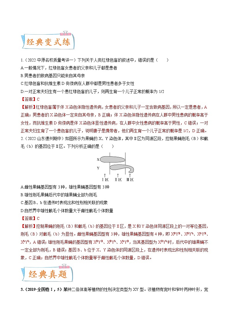 【备战2023高考】生物专题讲与练——考向11《伴性遗传和人类遗传病》全能练（全国通用）（解析版）第3页
