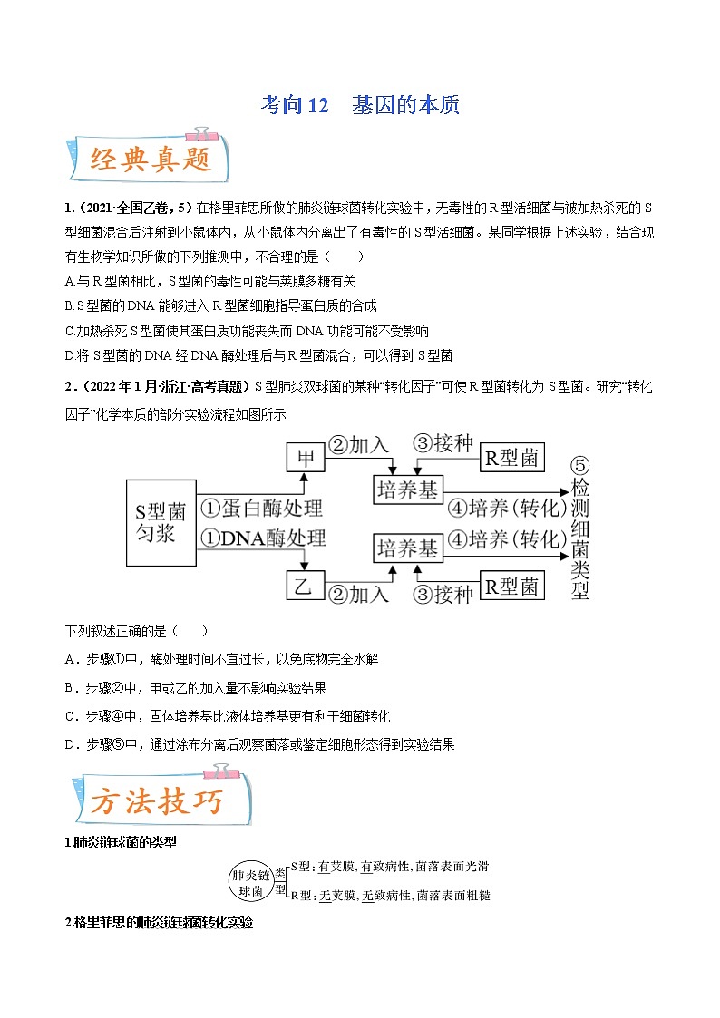 【备战2023高考】生物专题讲与练——考向12《基因的本质》全能练（含解析）（全国通用）01