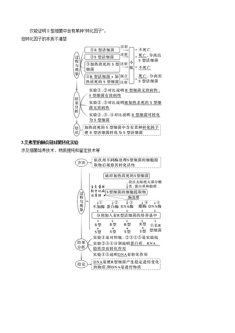 【备战2023高考】生物专题讲与练——考向12《基因的本质》全能练（含解析）（全国通用）02
