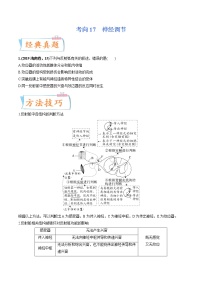 【备战2023高考】生物专题讲与练——考向17《神经调节》全能练（含解析）（全国通用）