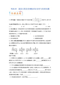 【备战2023高考】生物专题讲与练——考向28《基因工程及生物技术安全性与伦理问题》全能练（含解析）（全国通用）