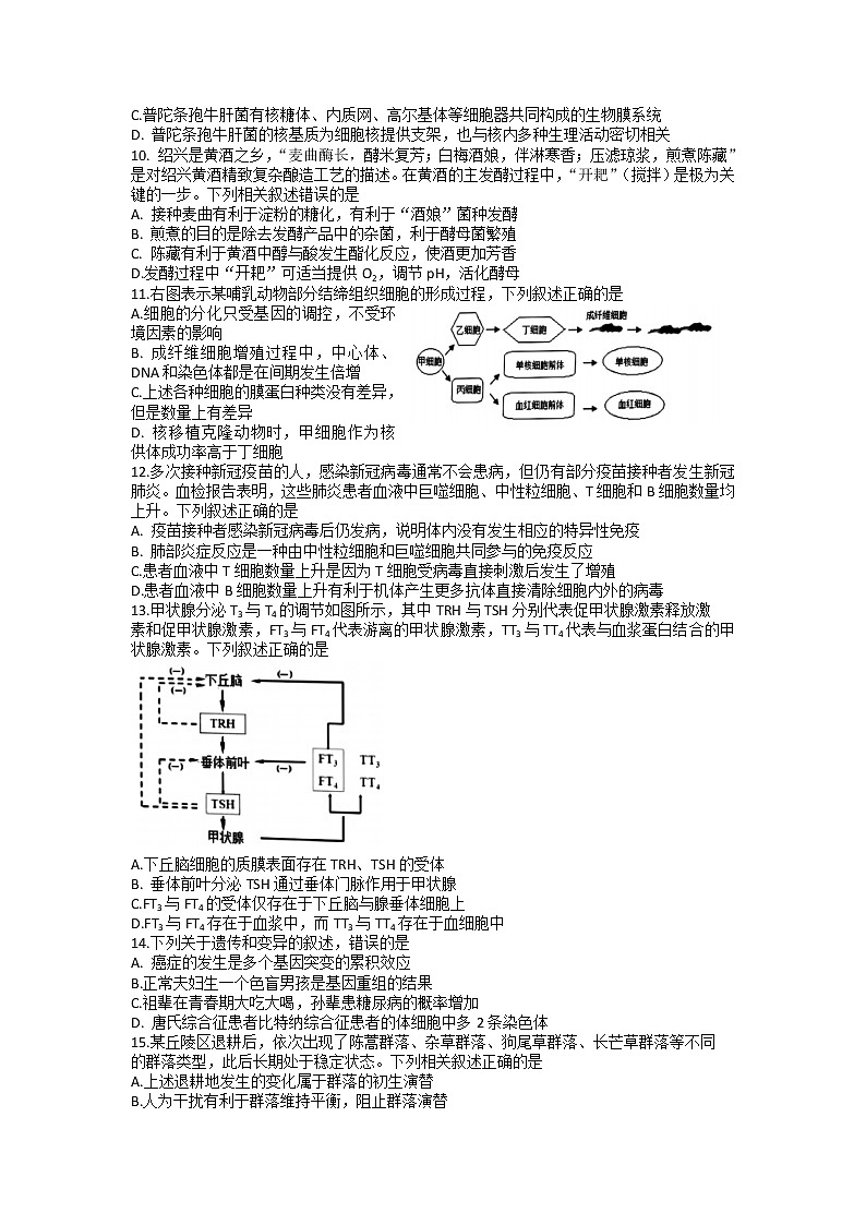 2023届浙江省绍兴市高三上学期选考科目诊断性考试（一模）生物试题及答案（选考）第2页